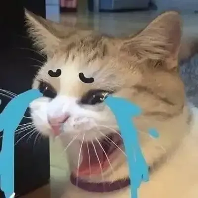 ảnh khóc meme 8