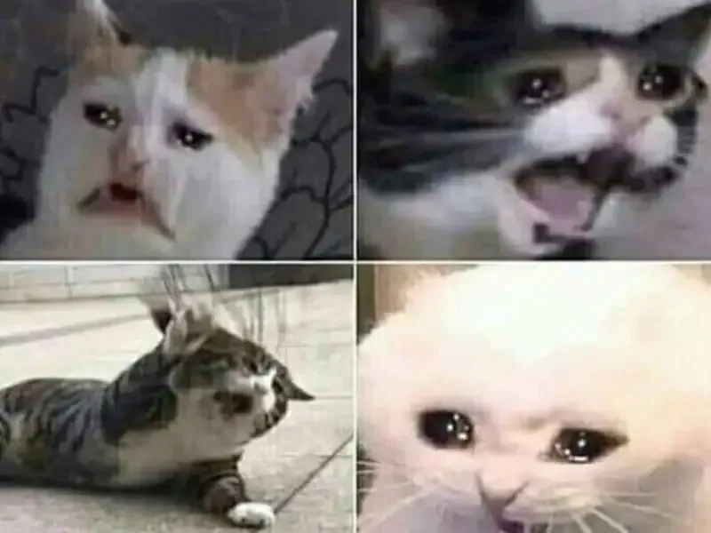 ảnh khóc meme 28