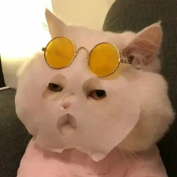  ảnh meme chế 25