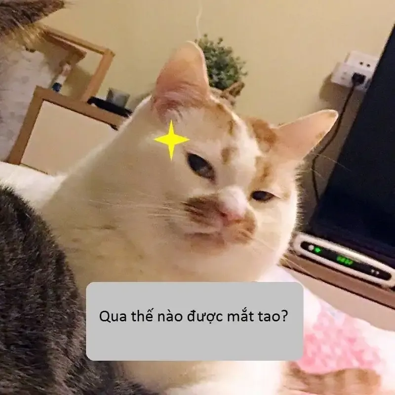  ảnh meme chửi 11
