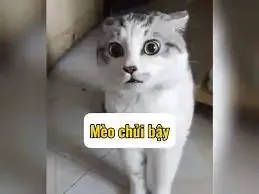  ảnh meme chửi 14