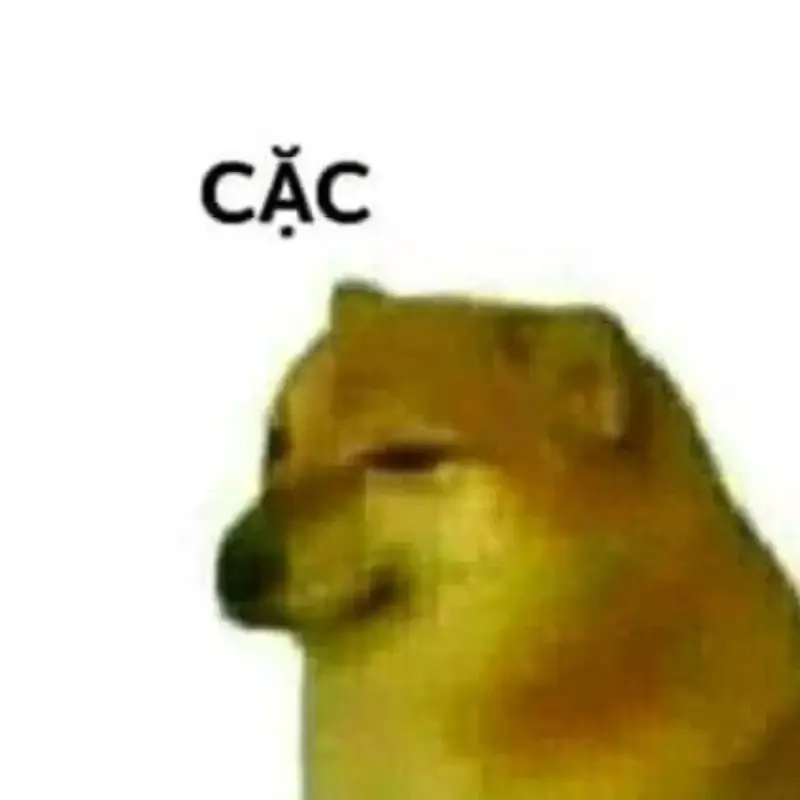  ảnh meme chửi 4