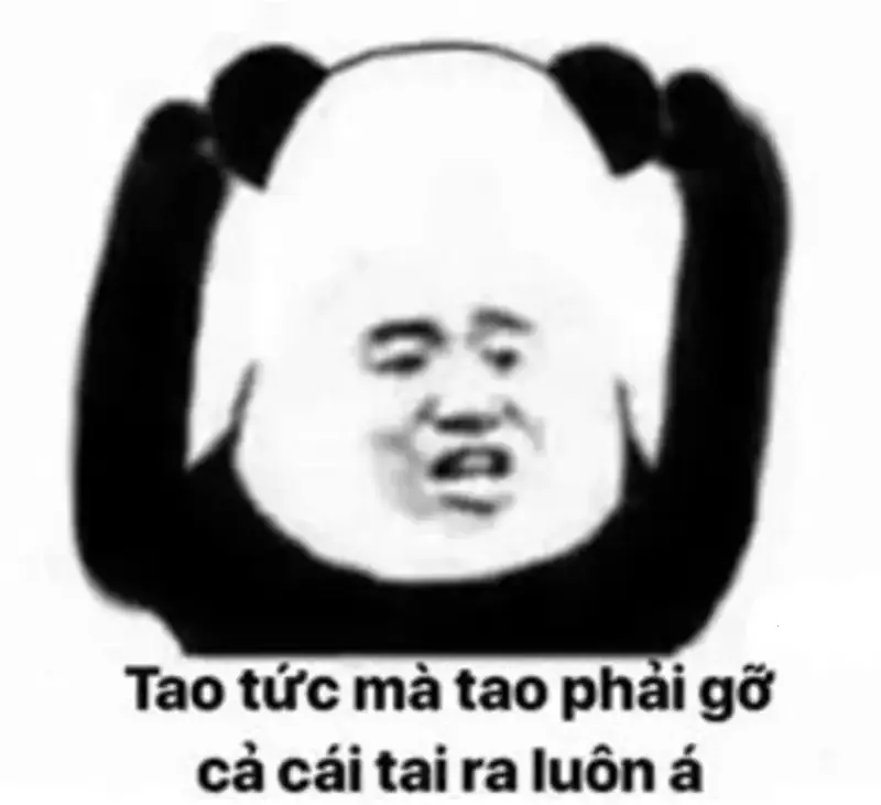  ảnh meme chửi 7