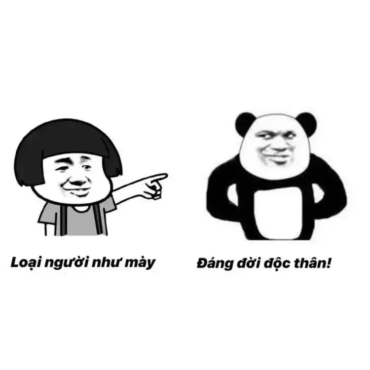  ảnh meme chửi 18