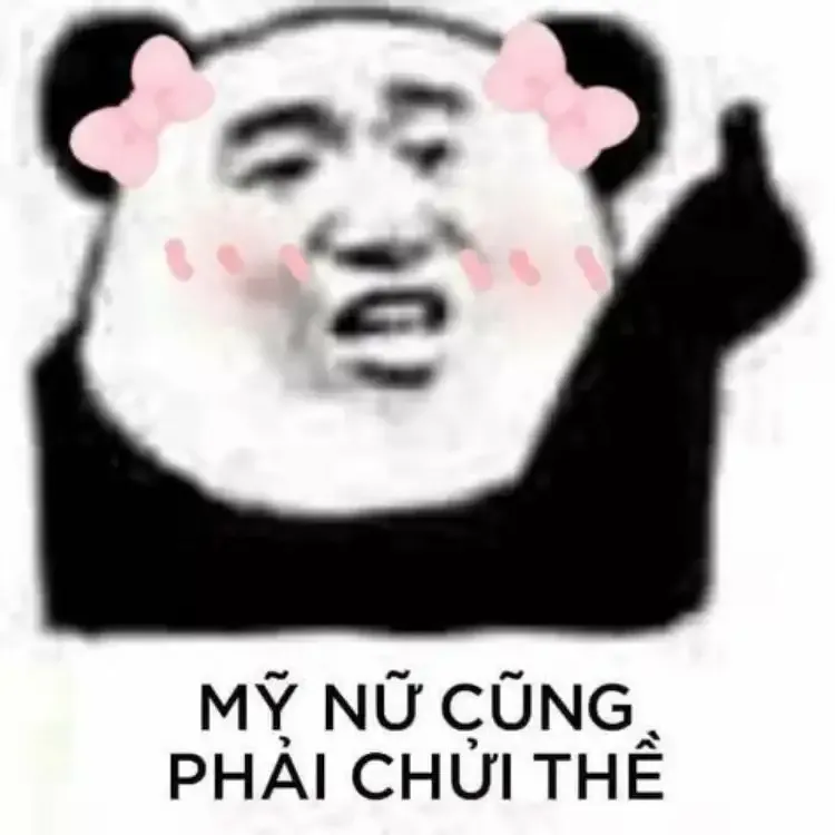  ảnh meme chửi 8