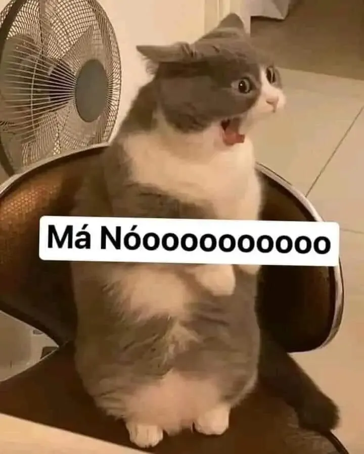  ảnh meme chửi 29