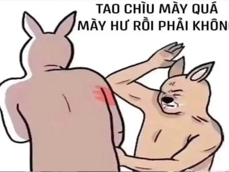 ảnh meme đánh 11
