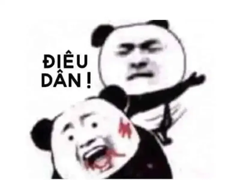 ảnh meme đánh 15