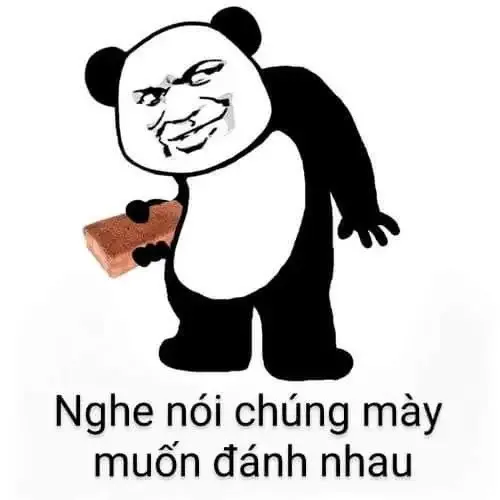 ảnh meme đánh 17