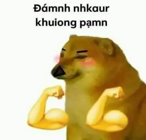 ảnh meme đánh 41