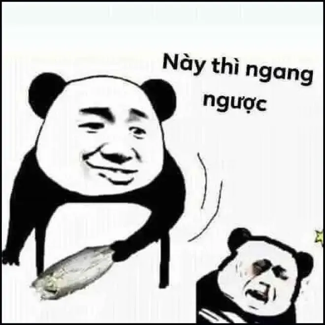 ảnh meme đánh 18