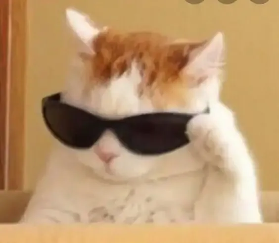  meme hài hước 8