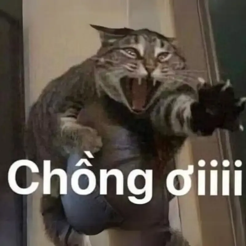  meme hài hước 10