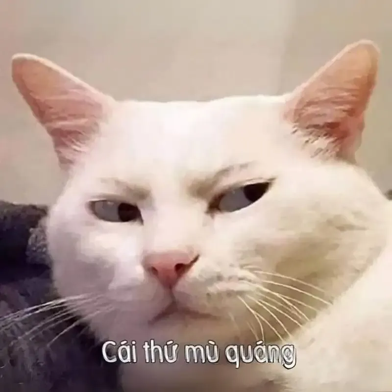  meme hài hước 13