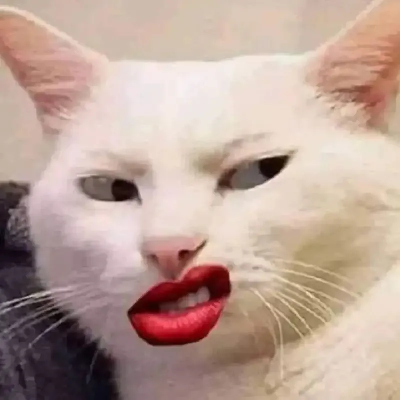  meme hài hước 22