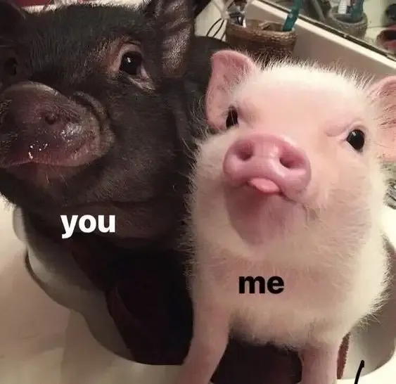  meme hài hước 26