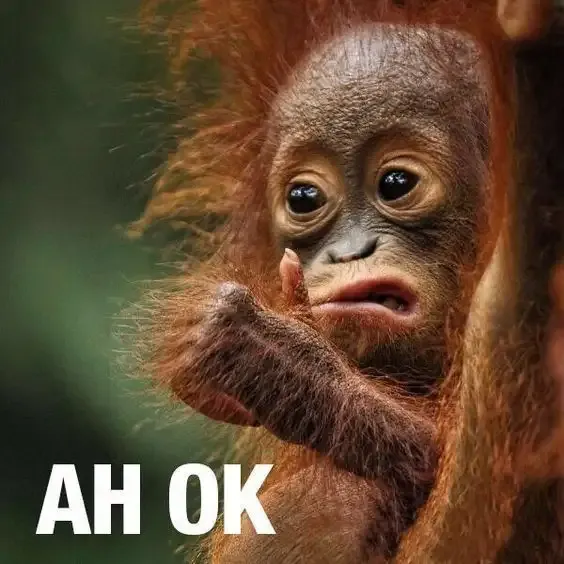  ảnh OK Meme 9