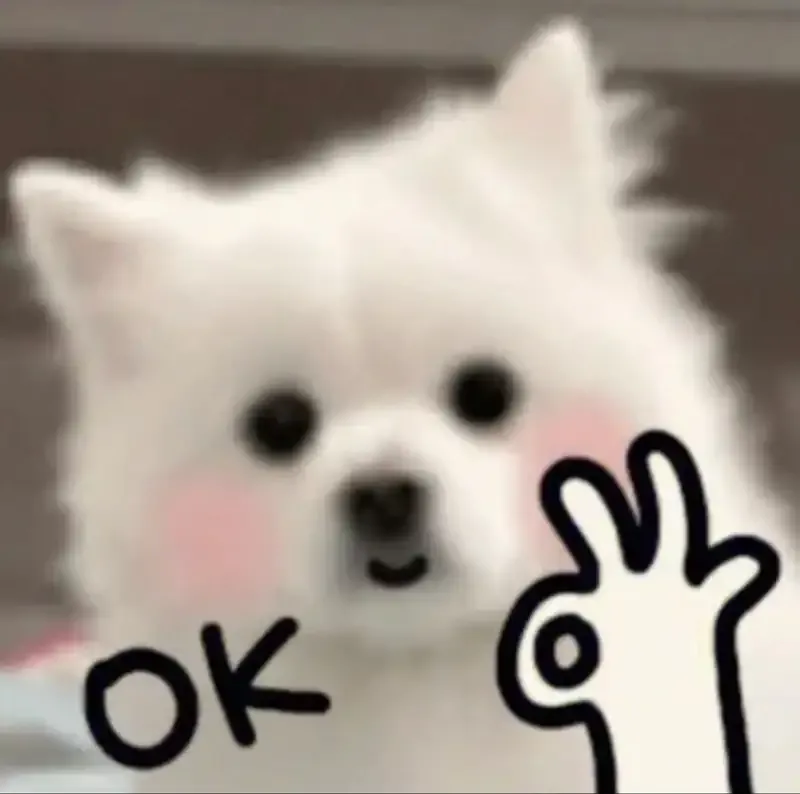  ảnh OK Meme 2