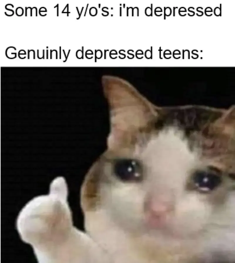  ảnh OK Meme 16