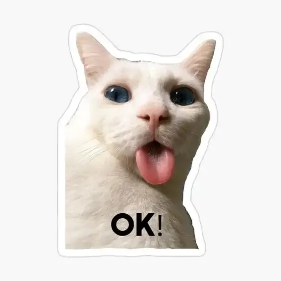  ảnh OK Meme 7