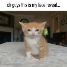  ảnh OK Meme 35