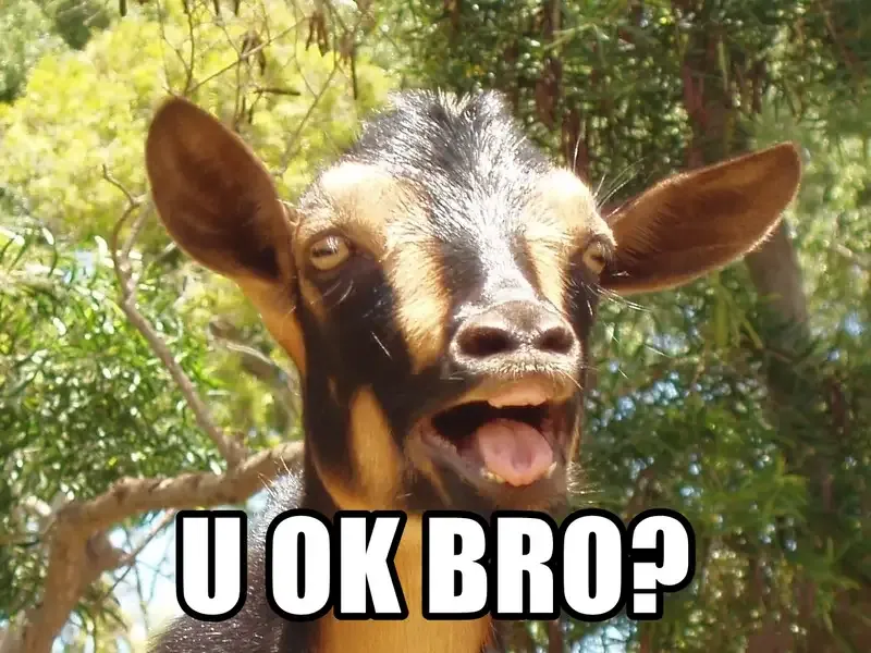  ảnh OK Meme 22