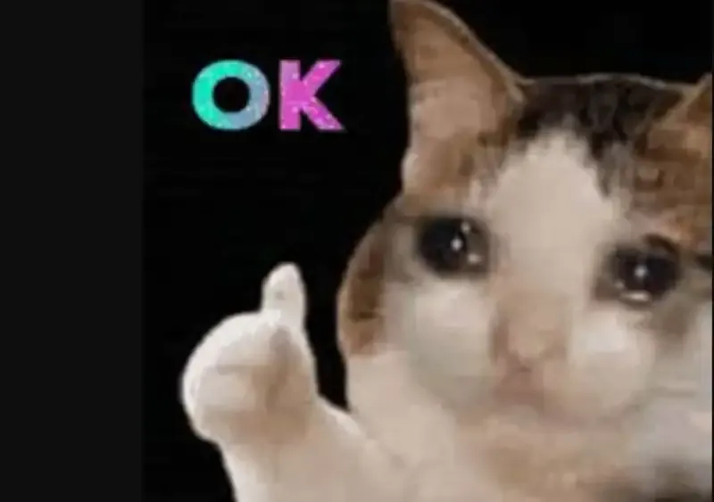  ảnh OK Meme 23