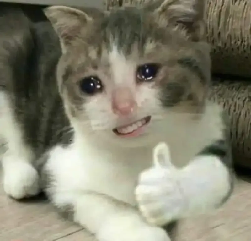  ảnh OK Meme 24