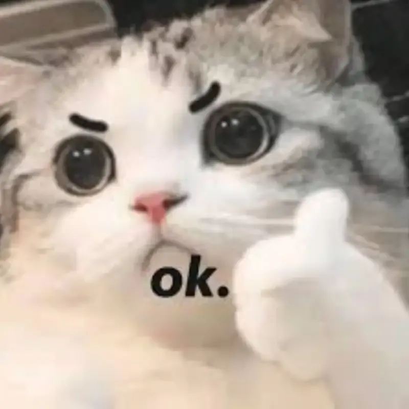 ảnh OK Meme 25