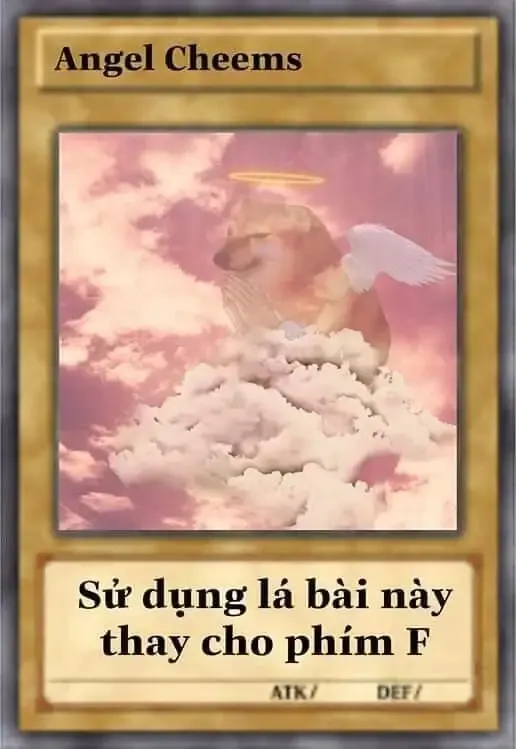  ảnh bài meme 19