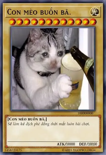  ảnh bài meme 9
