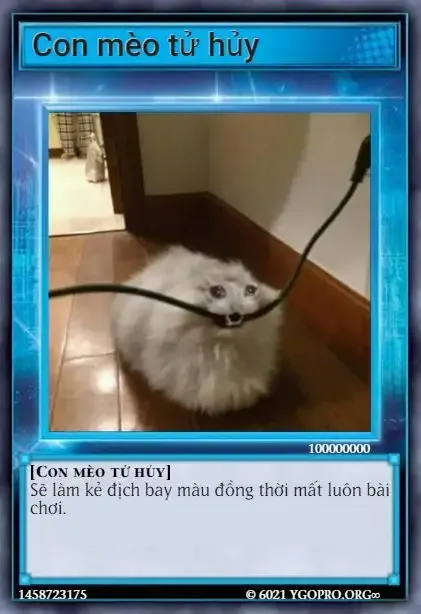 ảnh bài meme 17