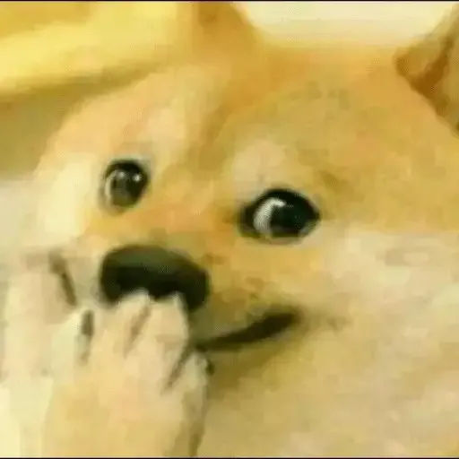 cheems meme 2