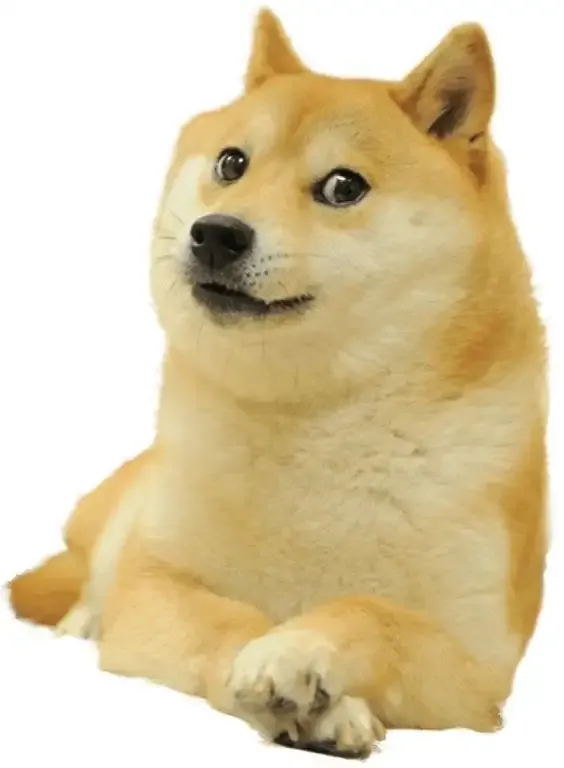 cheems meme 7