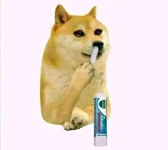 cheems meme 23