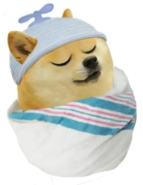 cheems meme 24