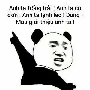  gấu trúc meme 17