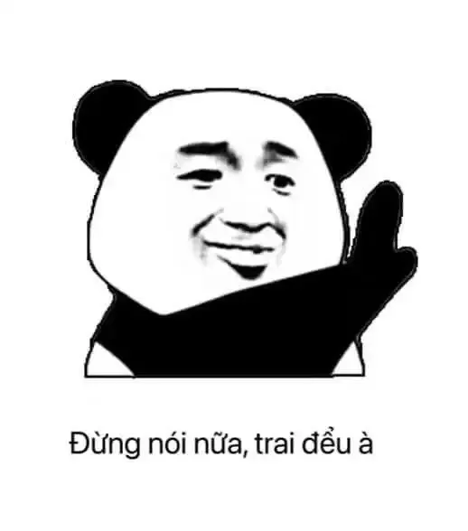 gấu trúc meme 20