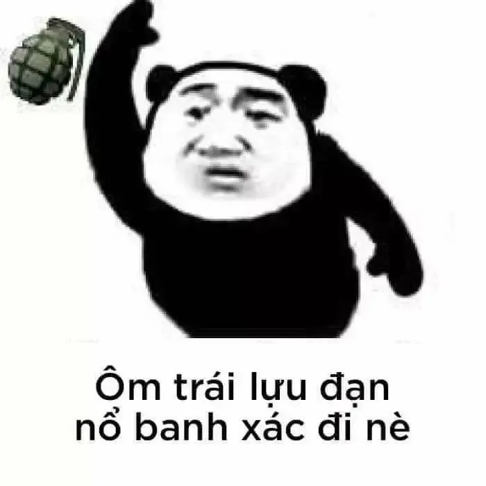  gấu trúc meme 2