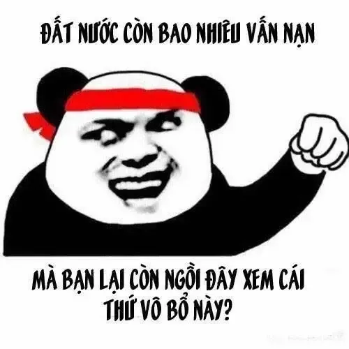  gấu trúc meme 22