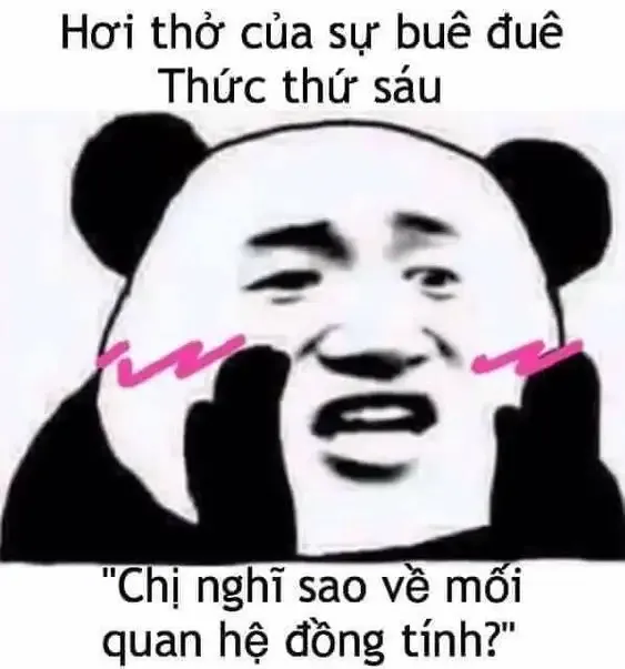  gấu trúc meme 26