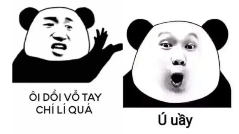  gấu trúc meme 5