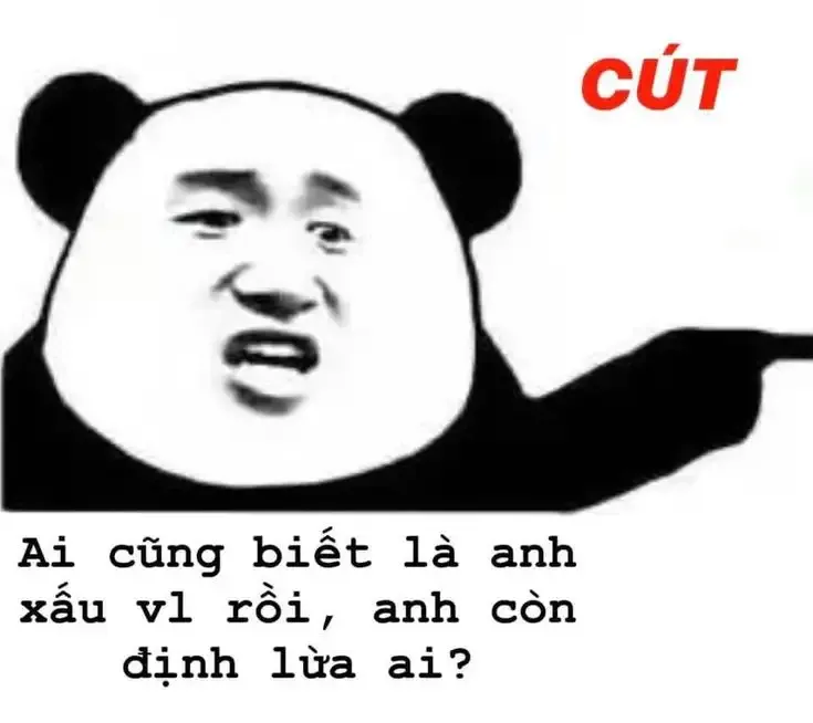  gấu trúc meme 31
