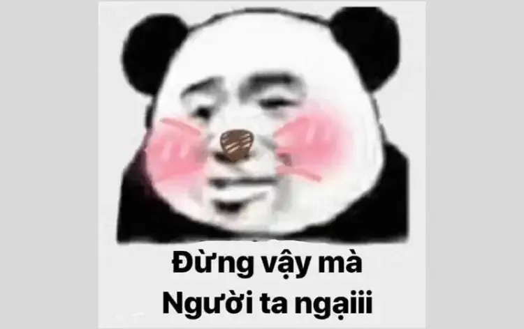  gấu trúc meme 6