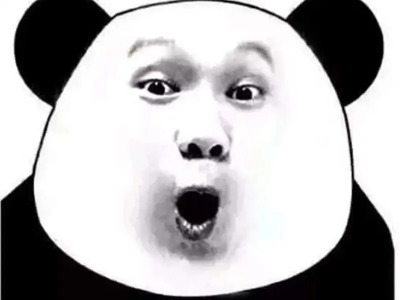  gấu trúc meme 9