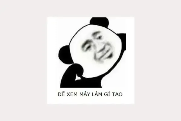  gấu trúc meme 10