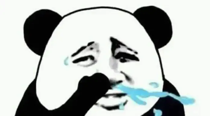  gấu trúc meme 12