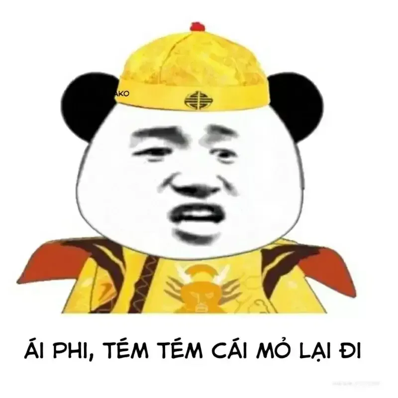  gấu trúc meme 39