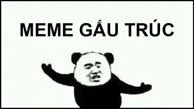  gấu trúc meme 16