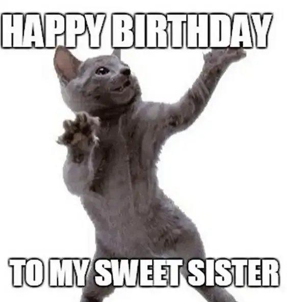  ảnh meme happy birth day 1